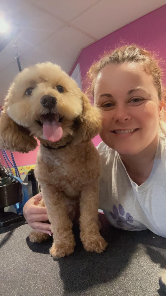 Poodle Before and After